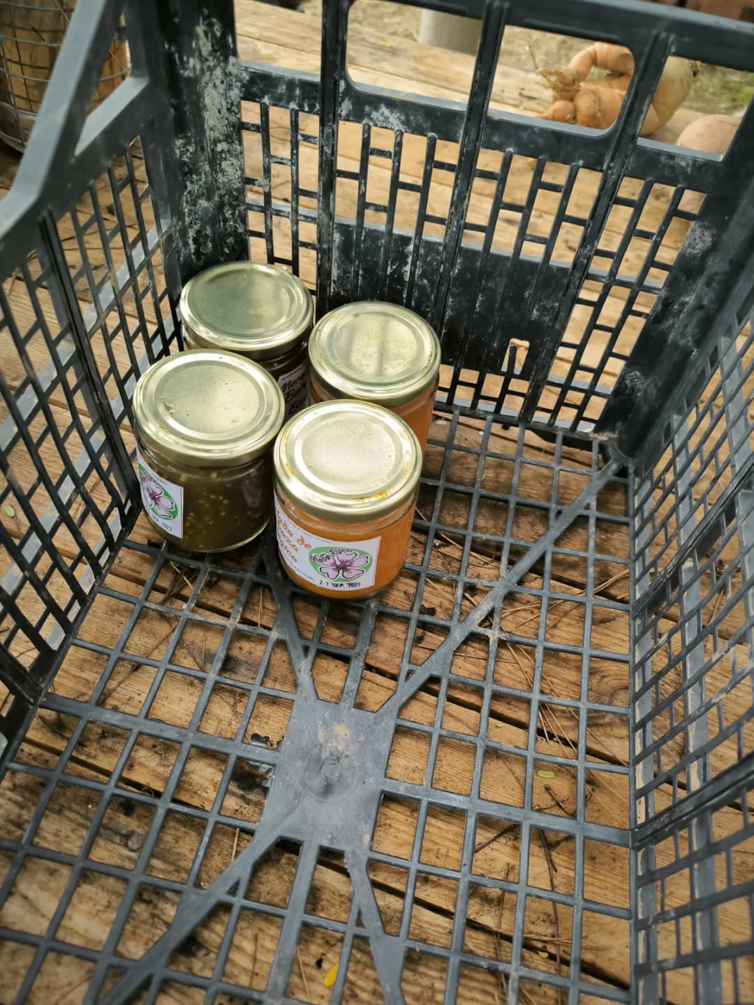 Mermeladas Artesanales